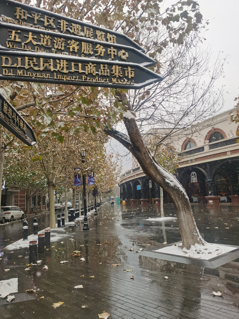 12月13日，天津迎来降雪，空气清新景色如画。人民网记者 陶建摄